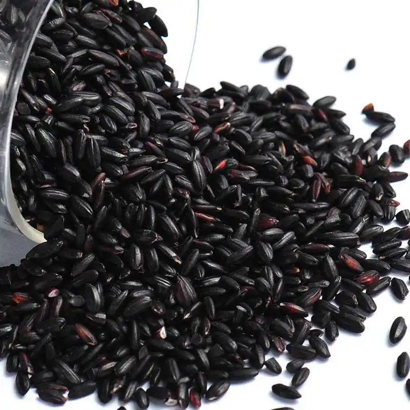Wholesale farmhouse self-produced grains black fragrant rice
