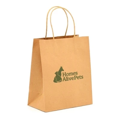Cheap Environmental Protection Customized Printed Paper Bags for Shopping, Clothes, Shoes, Retail Stores, Cosmetics, Electronics