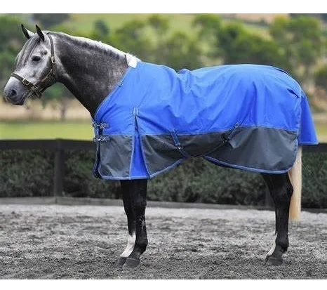 Shemax 2023 Horse Riding Equestrian High Quality Top Selling Custom Wholesale HORSE FLY SHEET