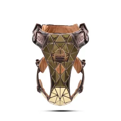 Gold Vison Dog Harness Luxury Shinning Nylon Jacquard ribbon Dog Leads Collar Sets Fashion Pet Walking Products