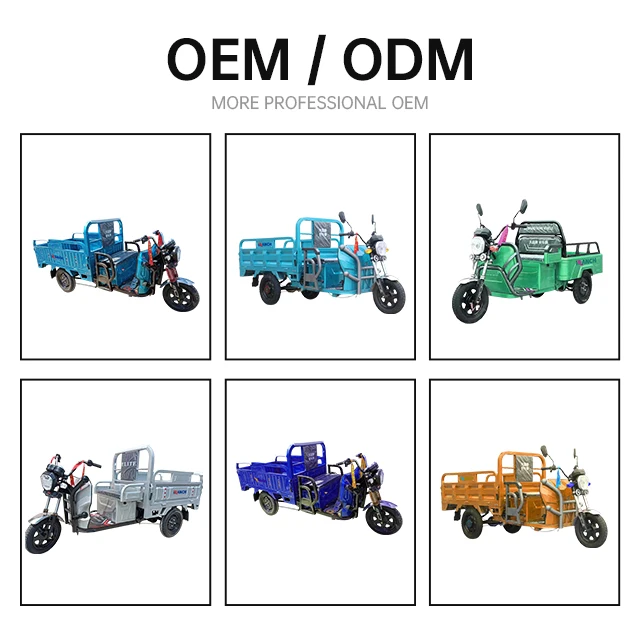 China Electric Adult Tricycle Electric Three Wheeler Cargo 1000w Eec Electric Trike Scooter Cargo Bike