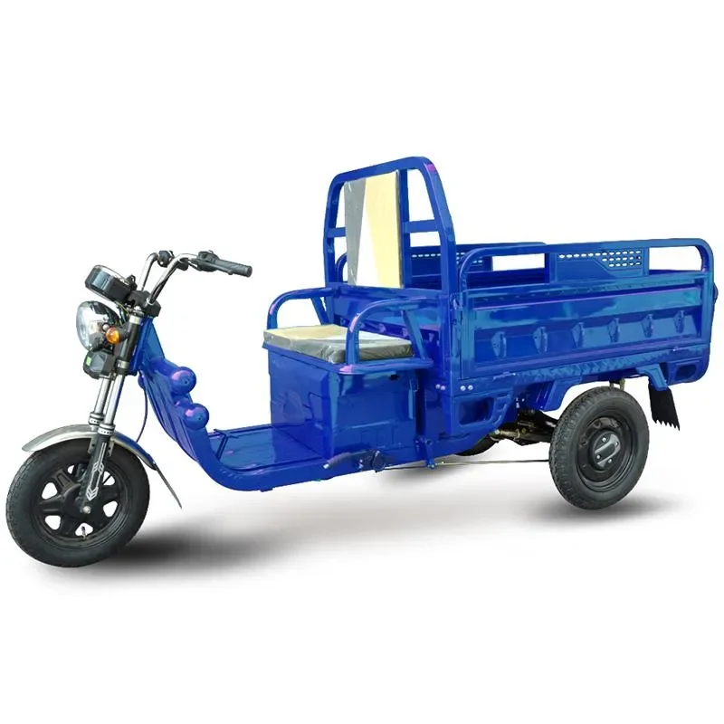 Best Price Electric Cargo Tricycle for Adults with Big Wheel 60v Central Motor Integrated 20ah Battery