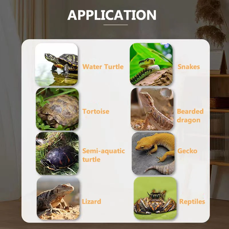 Automatic Reptile Turtle Gecko Egg Hatching Incubator Machine Lab Incubator For Reptile Turtle Capacity 48L