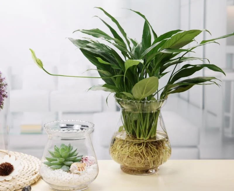 Нежный стеклянный террариум для миниатюрных фигурок «сделай сам» микроландшафтные украшения растений украшение сада/помещения/дома сказочный сад