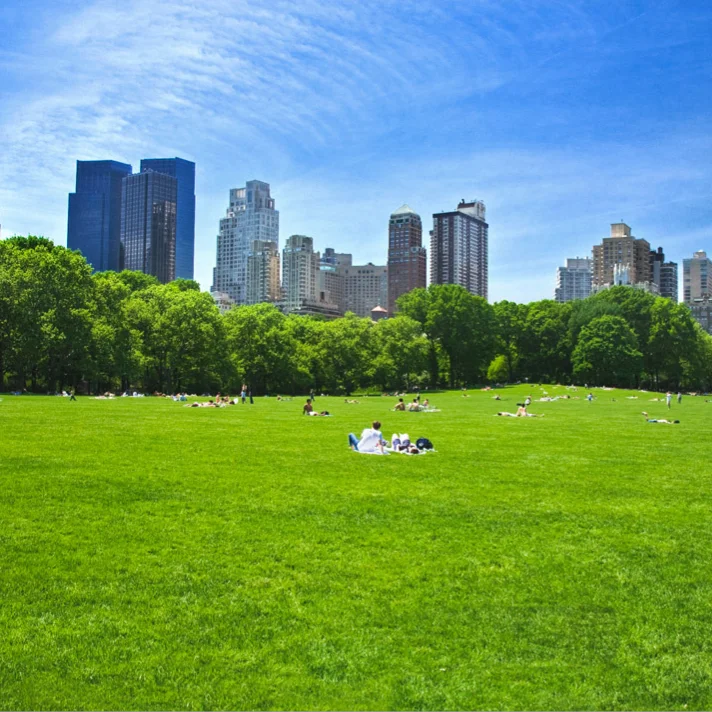 40mm Synthetic White Line Artificial Grass Lawn 25mm 30mm Outdoor Flooring for Cesped Erba Sintetica for Sports