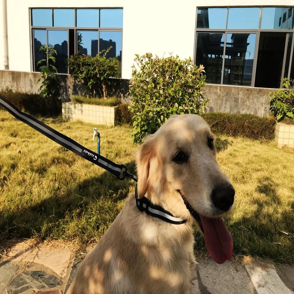 PVC waterproof glow in the dark dog collar