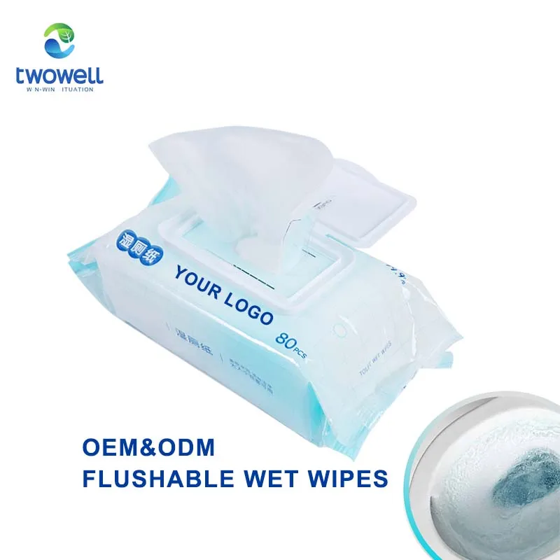 Black Custom Logo Bag Adult Wipes Flushable Mini Wet Wipes Infused With Aloe & Gree Tea