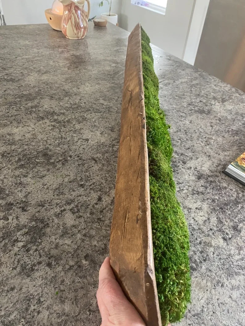 Moss Dough Bowl Table Centerpiece Preserved Moss