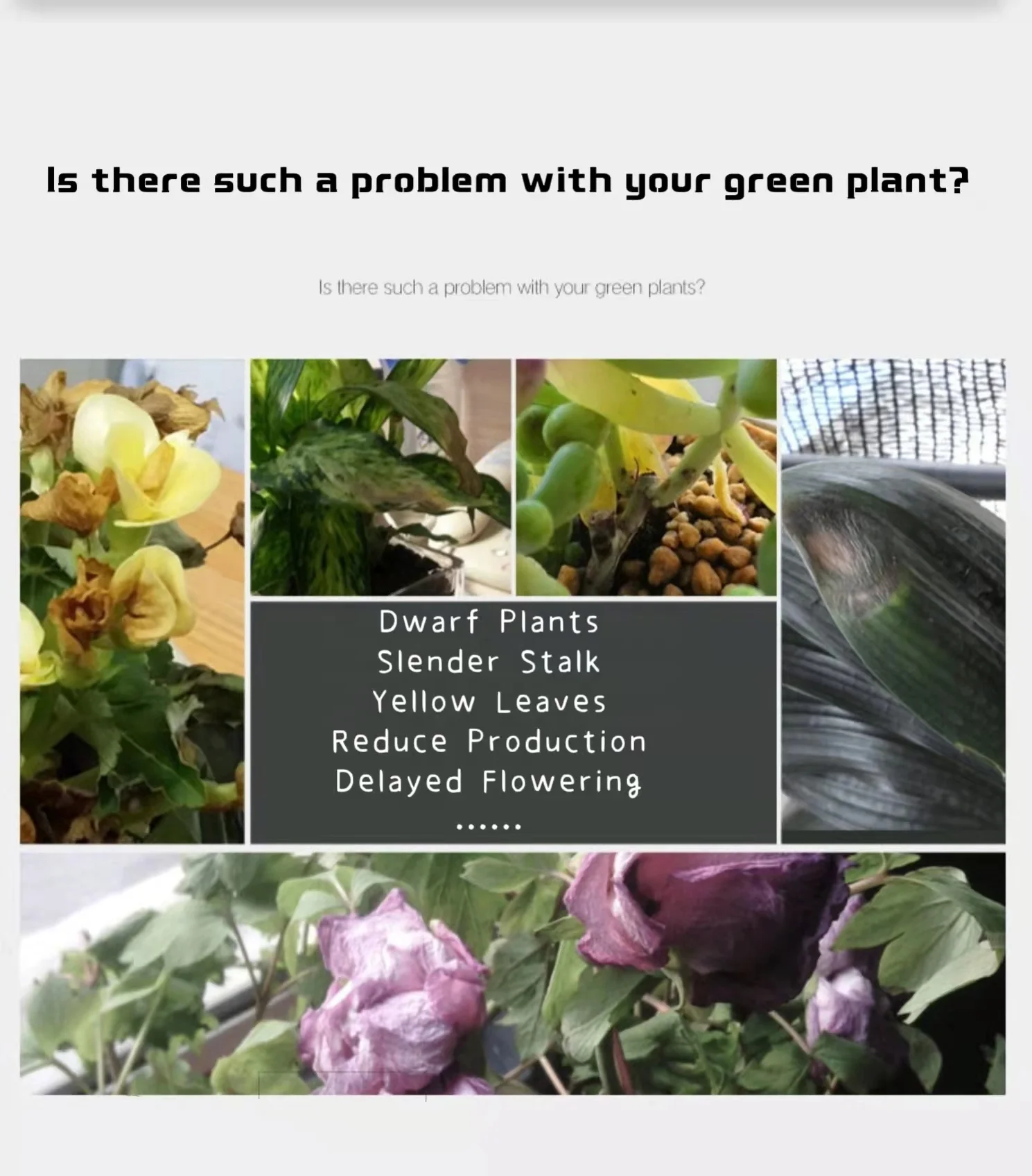 Рекомендации грануляции 0-10-10 0-20-30 NPK Fertilizer15-09-12 23-23-00 28-0-0 16-4-8 комнатное растение удобрение