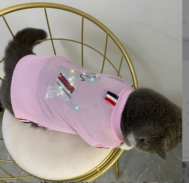 Fashion design Sweet Pet Dog Sweater Skirt Autumn Winter Dog Dress Cats Sweater Pet Knitted Pullover for Warm Dog Knit