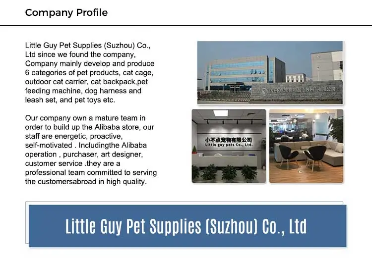 Company-Profile_01.jpg