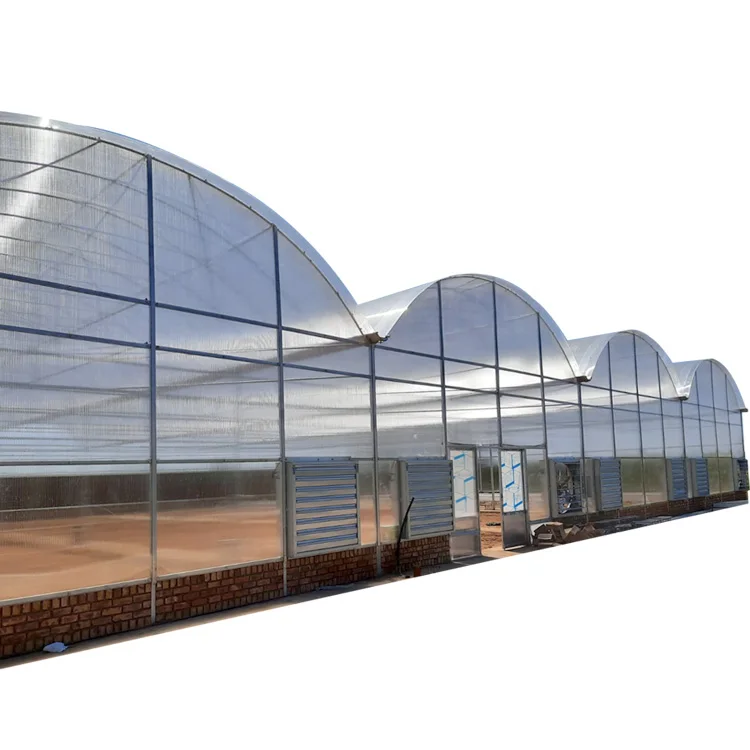 High Quality Agricultural Tunnel Arch Greenhouse Multi-Span Polycarbonate Greenhouse With Hydroponics System