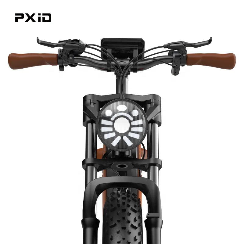 Electric Bike Adults 750W BAFANG Motor 48V 16Ah Larger Battery 24' Fat Tire Ebike Snow Beach Mountain E Bike Shimano 7-Speed