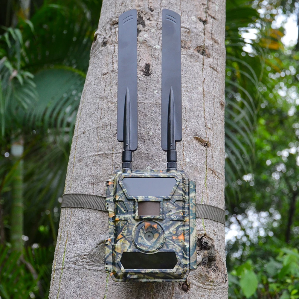 animal trap night vision 4G LTE Android IOS APP management hunting trail camera