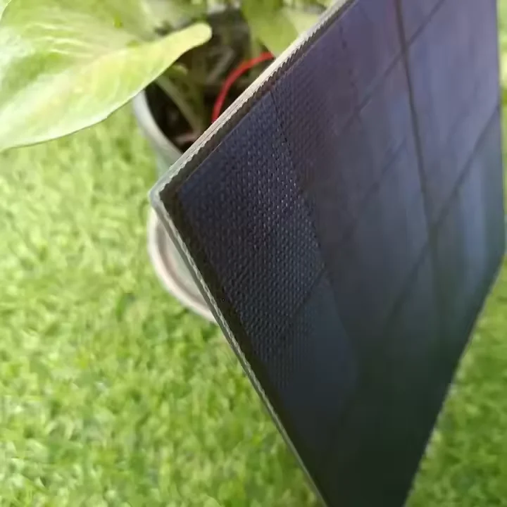 A Grade Lightweight Sunpower Small SMT Solar Panel 5w 10w 20w 30w 40w 50w 60w 12v mono ETFE Mini Solar Panel For light solar