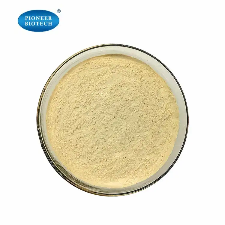 pure Coenzyme Q10 large supply manufacturer price