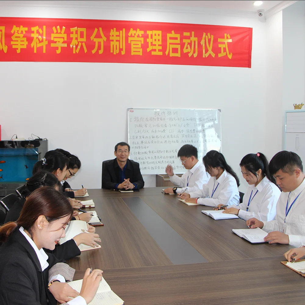 Popular Weifang new large  cometa  outdoor playing butterfly beach kite with flying thread