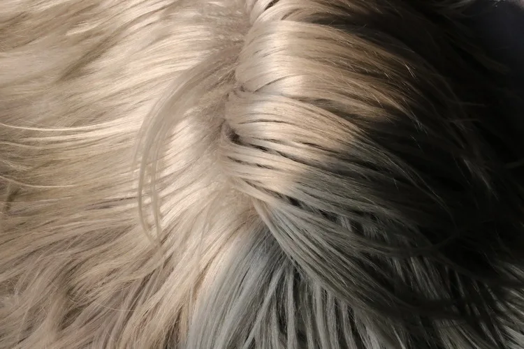 long hair goat fur  (22).JPG