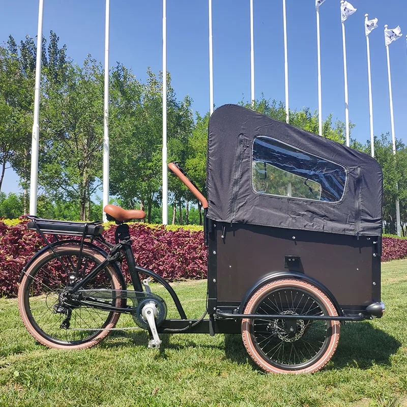 251 - 350W 7Speed 48V 13Ah E-Cargo Three Wheel Electric Bicycle Rickshaw Electric Bike 3 Wheels Tricycles