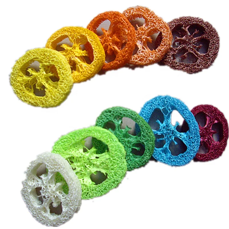 100% natural loofah molars piece Rabbit hamster Chinchillas Dutch pig chews clean teeth