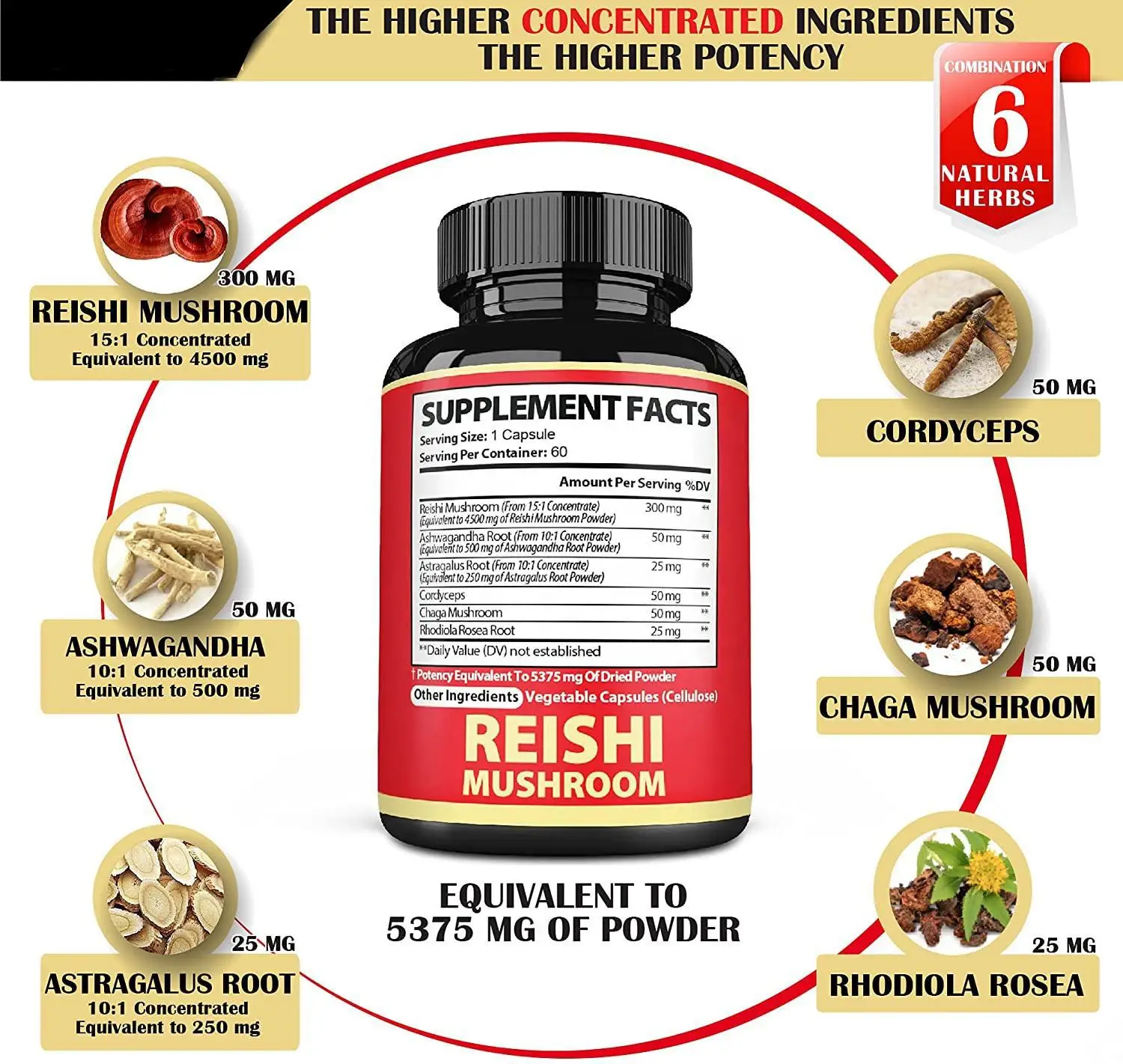 OEM Mushroom Supplement Capsules Manufacturer Mushroom Complex Capsules for Brain Supplements for Memory Focus Energy Support