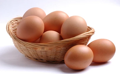 Chicken Table Eggs Export Fresh Eggs