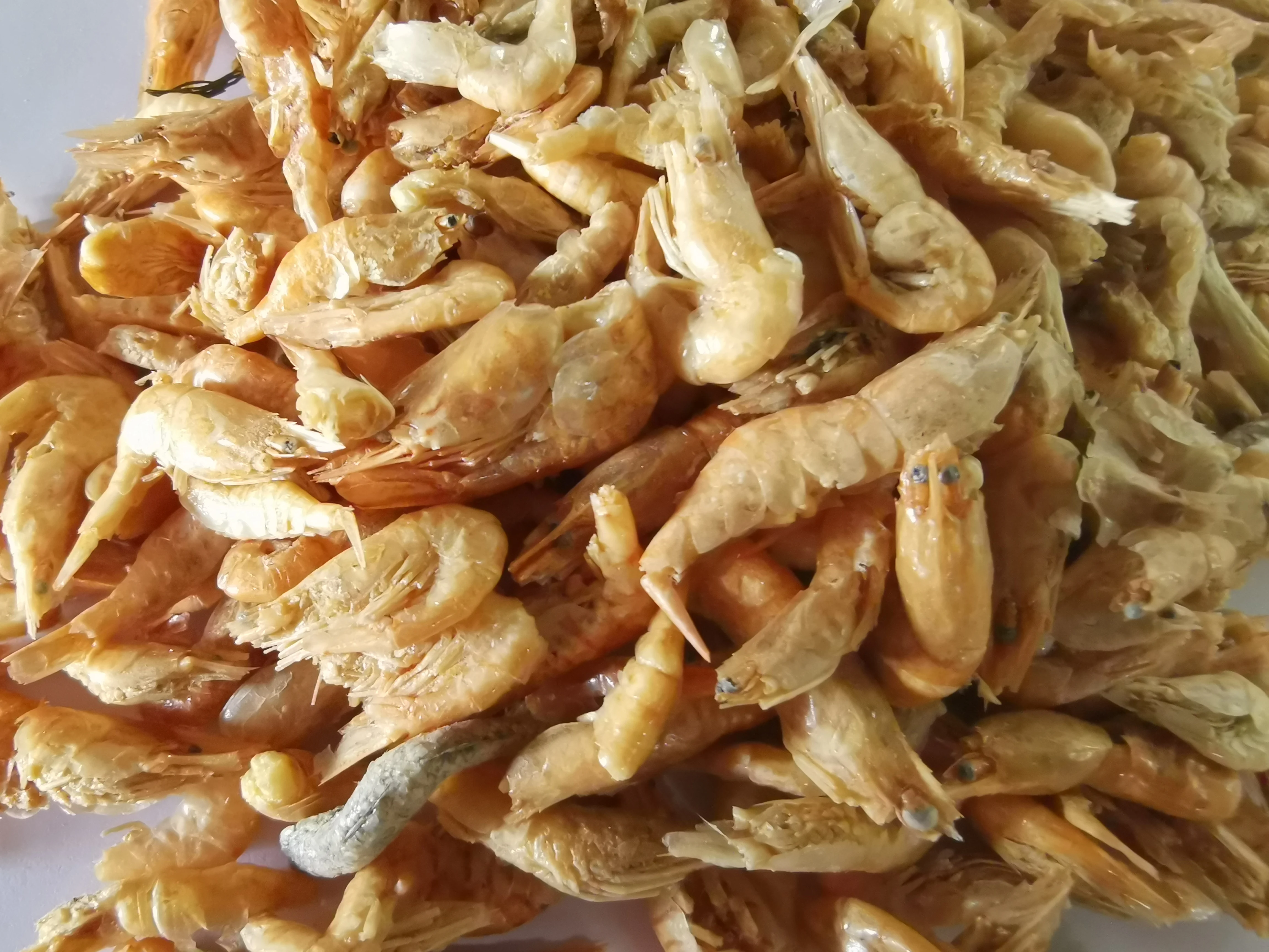 FD Red Shrimp for fish foods