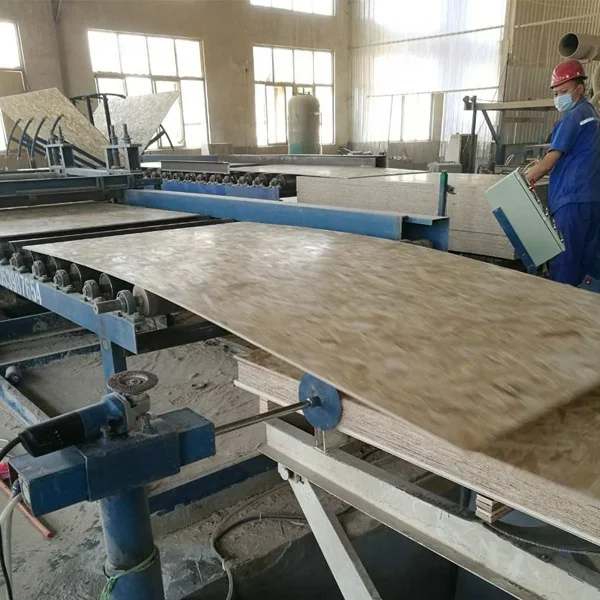 Osb E2 Glue Plywood Sheet 2-21mm Wood  Size Commercial Plywood Sheet