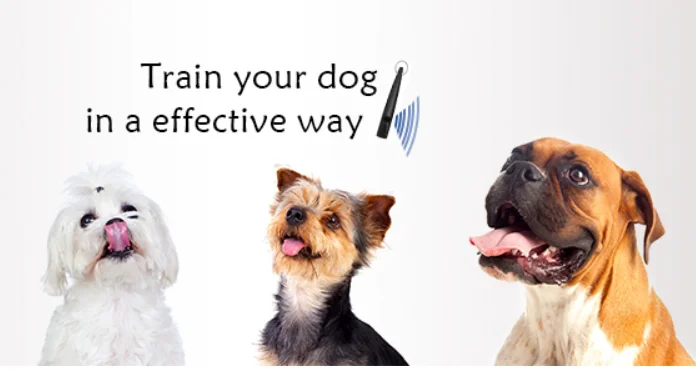 Wholesale Portable Plastic Dog Whistle For Pet Training With Lanyard