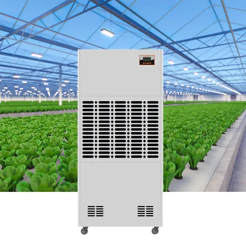 Industrial Dehumidifier Machine Air Dehumidifier Basement Dehumidifier 240L/D