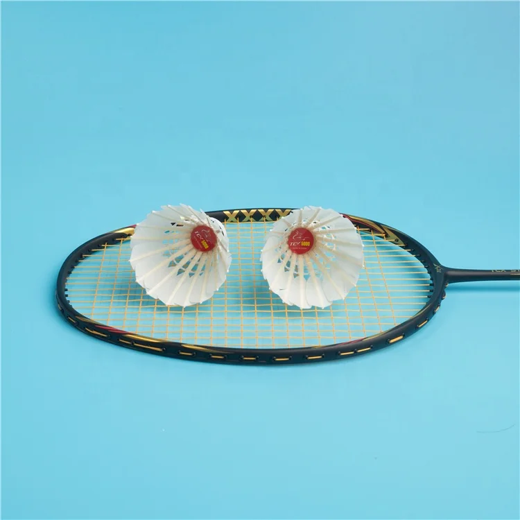 TCX 5000 Hot Selling Special Goose Feather Most Popular In Philippines