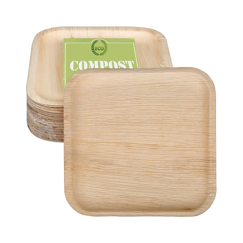 Eco friendly Biodegradable disposable natural compostable 7 10inch 25pcs areca palm leaf bamboo plates set tableware dinnerware