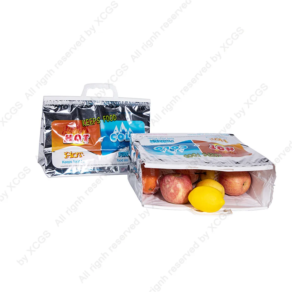 Beer Ice Cream Keep Cold Pizza Dessert Keep Fresh Insulated Pouch Zipper Hand-held Restaurant Food Take-out Thermal Cooler Bags