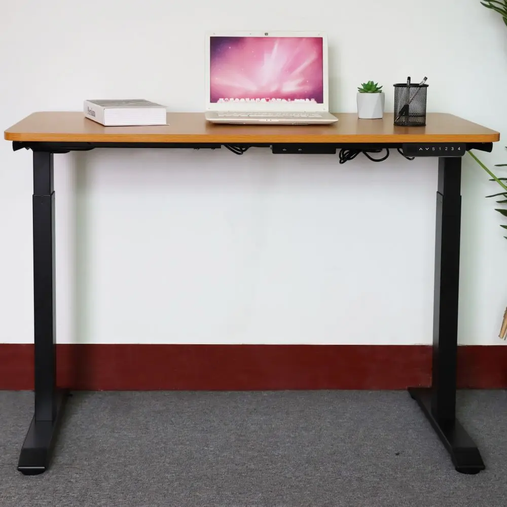 Cheap Home Office Desk Frame Ergonomic Electric Stand up Motorized Adjustable Height Sit Standing Desk with Dual Motor