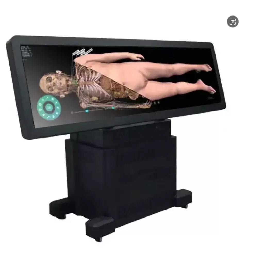 Виртуальный анатомический 3D стол для анатомии
