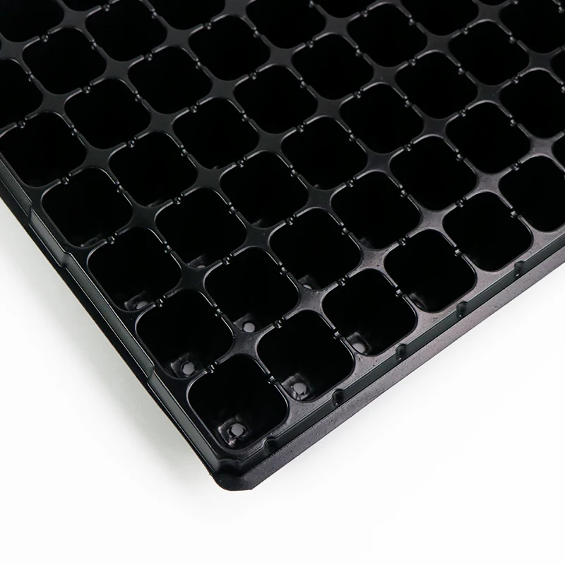 Nursery Vegetable Seed Trays Reusable Plant Germination Chamber For Seed Starting Sprouter Starter Tray In Guanghzou