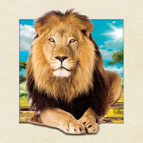 New design 3d stereo pictures of 3d lion picture