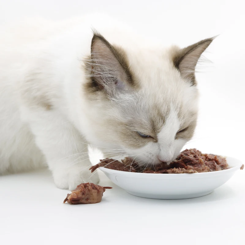 Wholesale Odm Fresh Wet Cat Food Fish/chicken/beef Shreds Canned Cat Treats Chicken Rice Ball Natural Functional Pet Food 85g