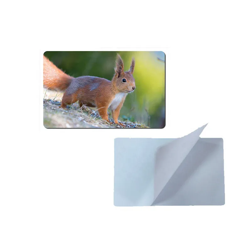 Custom Design Waterproof Card Sticker Removable Vinyl Debit Credit Card Sticker Skin