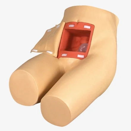 Enema and Assisted Defecation Training Simulator