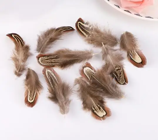 Натуральные перья фазана оптом неокрашенные нетоксичные сертифицированные 5-8 см 500 шт. в полиэтиленовом пакете