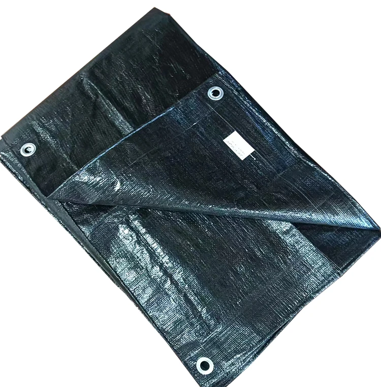 Truck Tarpaulin PE Waterproof Tarpaulin 80~300gsm Other Fabric Woven Lining Coated Car Cover