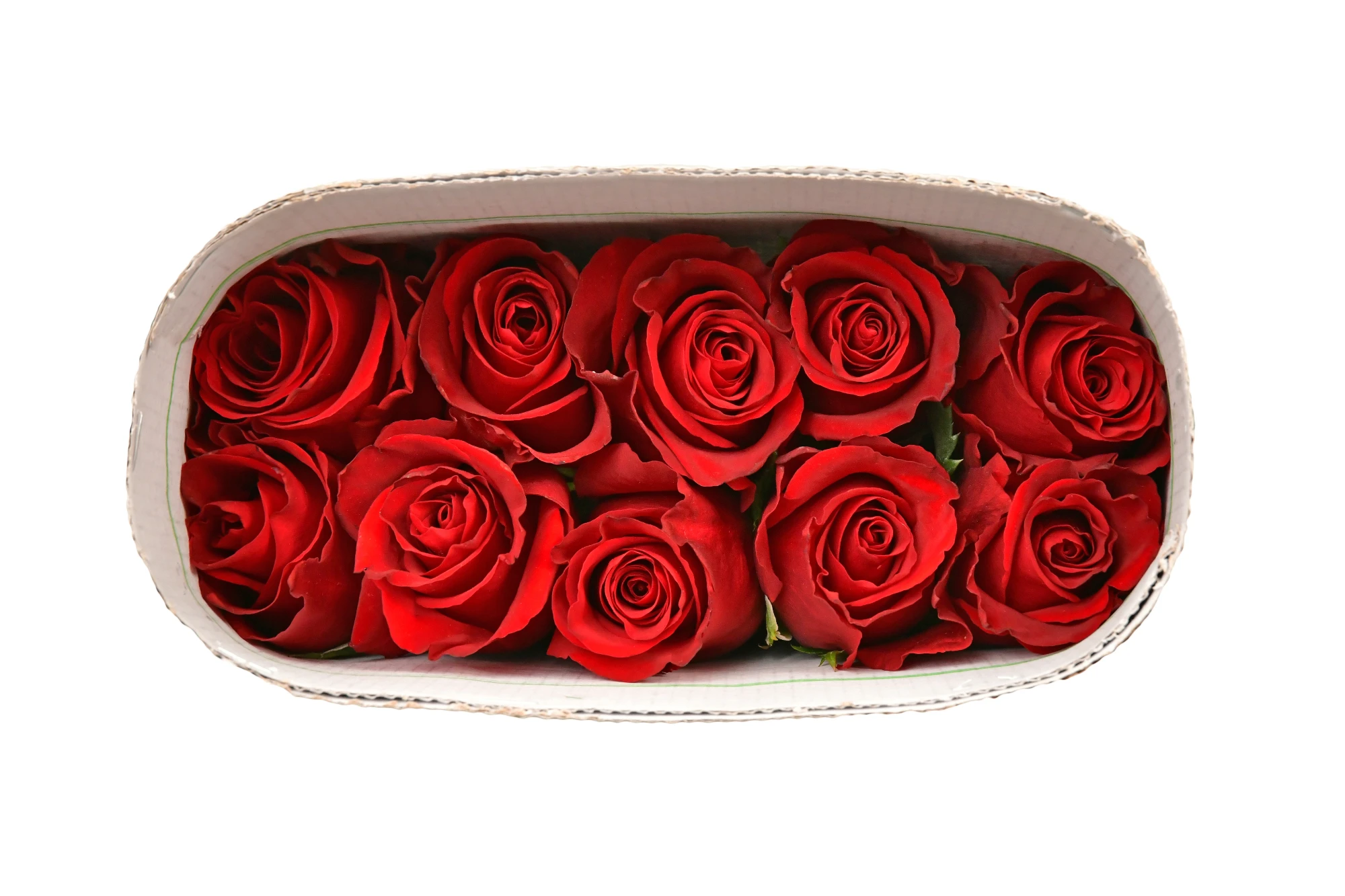 Christmas Flowers Kenyan Fresh Cut Rose Red large headed 62cm stem wholesale retail fresh cut flower bunch Christmas flowers