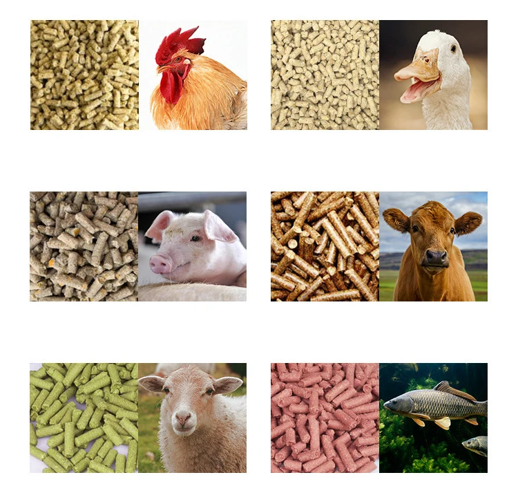mul-functional high productivity feed pallet making machine animal feed pellet/poultry animal feed granule making machines