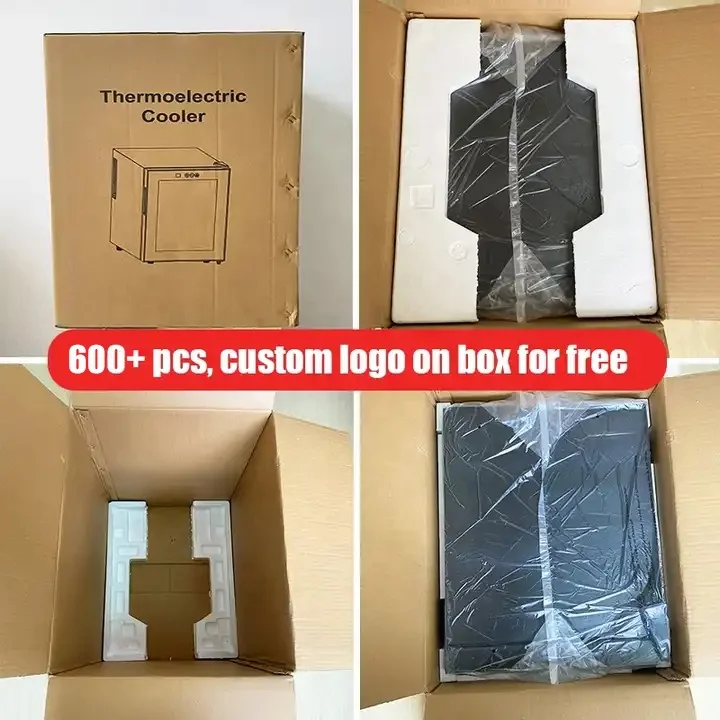 Compact 16L LED Display Electric Wine Cooler Portable 6-Bottle Fridge for Home Hotel Car Outdoor Use New Condition