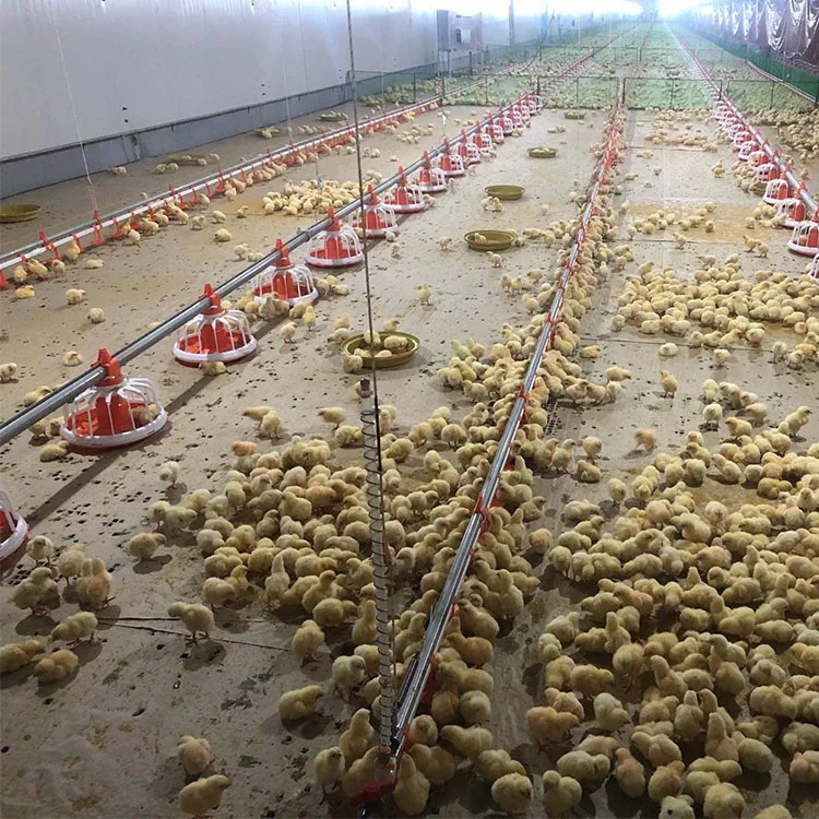 Steel Structure Prefabricated Shed/Cattle / Sheep /chicken House for Sale