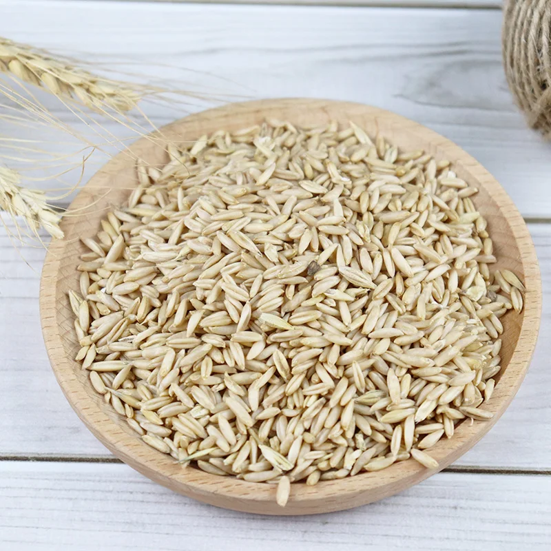 Oat groats uncrushed, obtained from oats that have passed steaming, cleaning and grinding oat groats