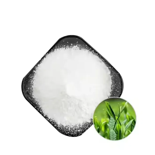 Wholesale Green Tea Extract 98% Polyphenols 98% L-theanine Powder