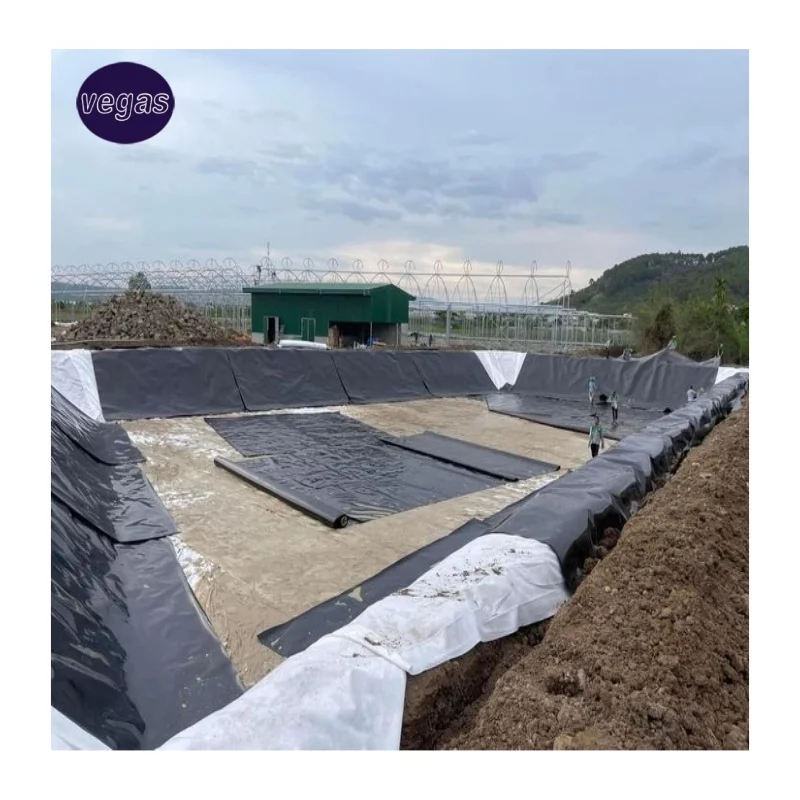 Заводская цена 0 5 мм 1 2 HDPE геомембрана плотина Рыбная ферма резервуар бассейн Пруд Лайнер