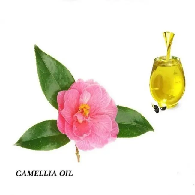 Food Grade Cosmetic Cold Pressed Organic 100% Purity Body Care Antioxidant Ximenia Americana Seed Oil
